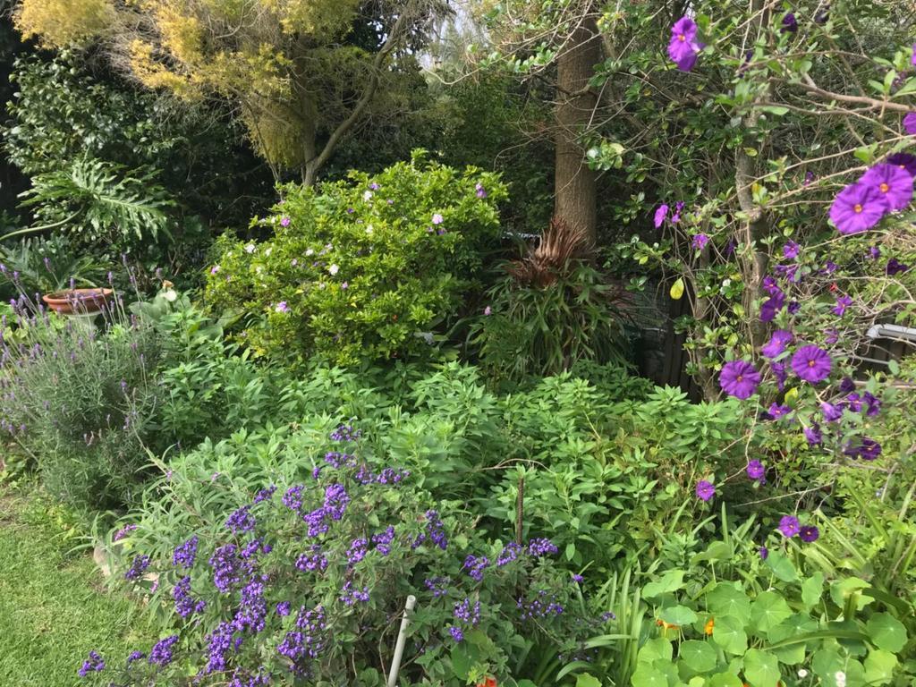 Valley Heights Guest House And B & B Cape Town Eksteriør bilde