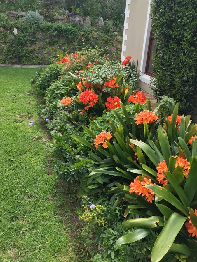 Valley Heights Guest House And B & B Cape Town Eksteriør bilde