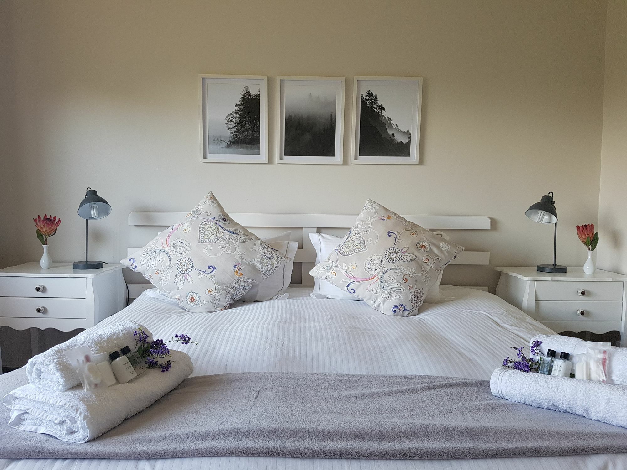 Valley Heights Guest House And B & B Cape Town Eksteriør bilde
