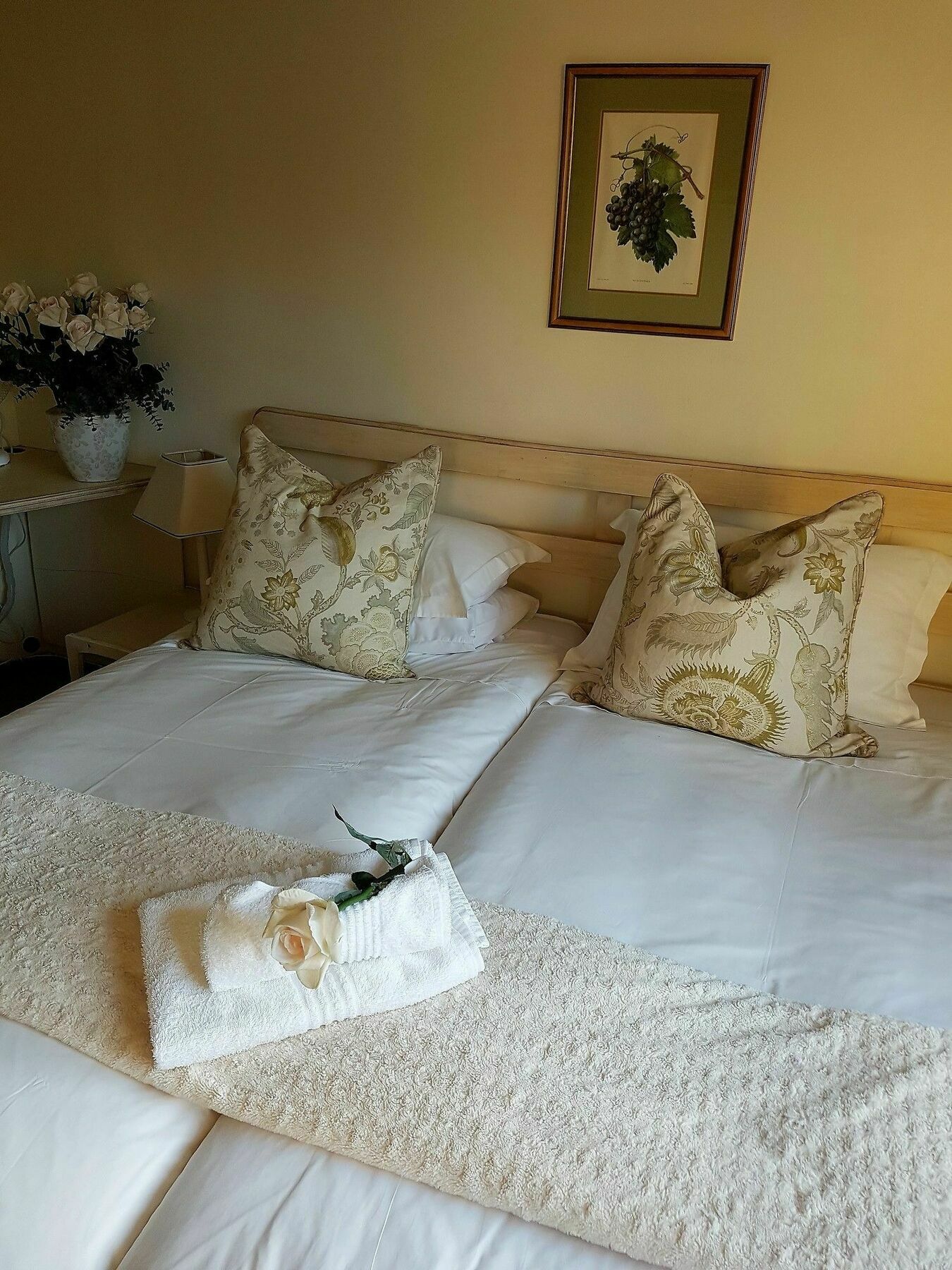 Valley Heights Guest House And B & B Cape Town Eksteriør bilde