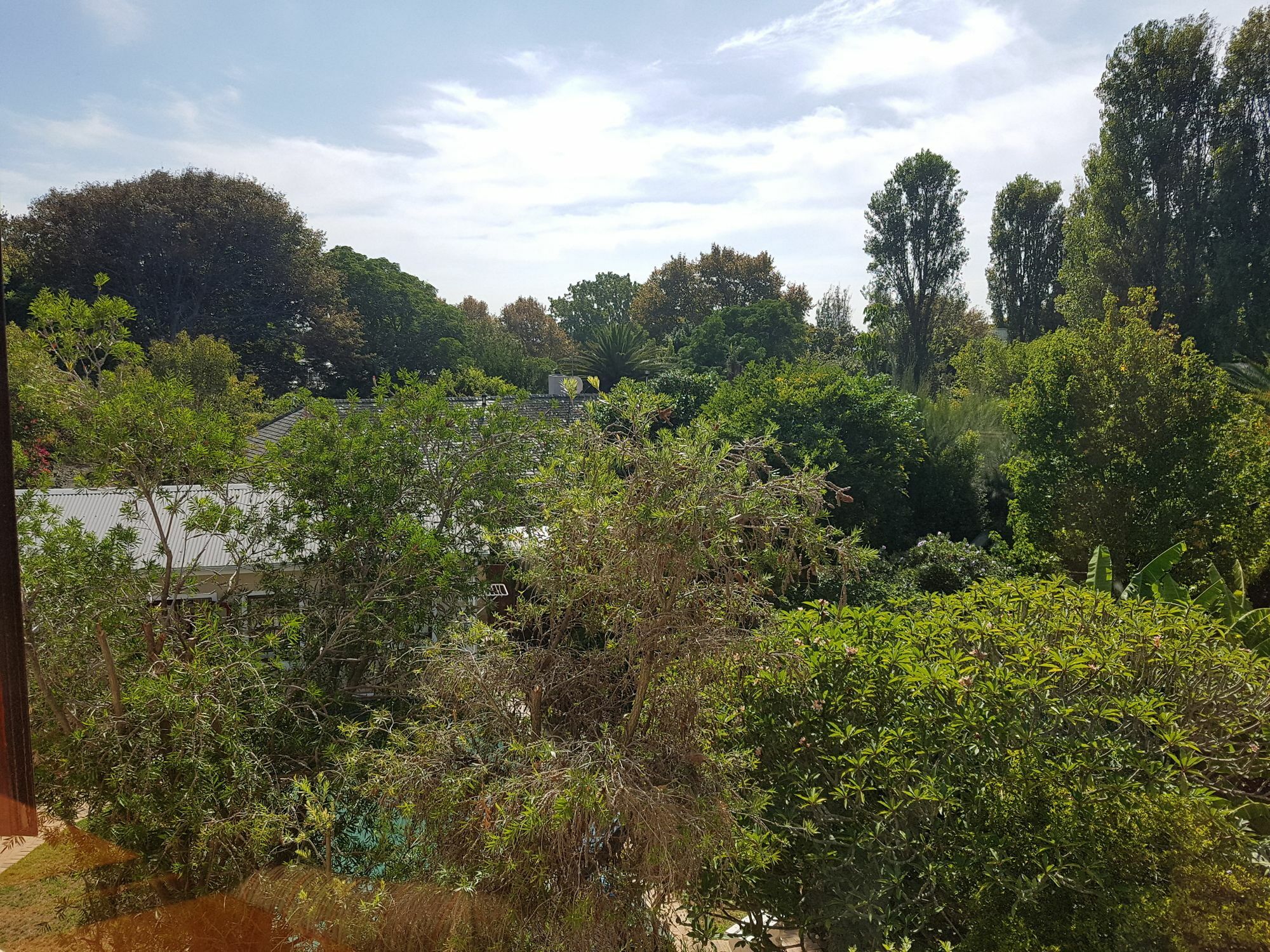 Valley Heights Guest House And B & B Cape Town Eksteriør bilde